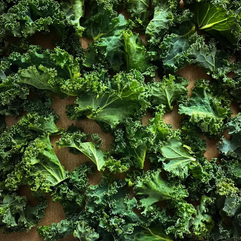 Knusprige Grünkohlchips aus dem Airfryer / Kale Chips